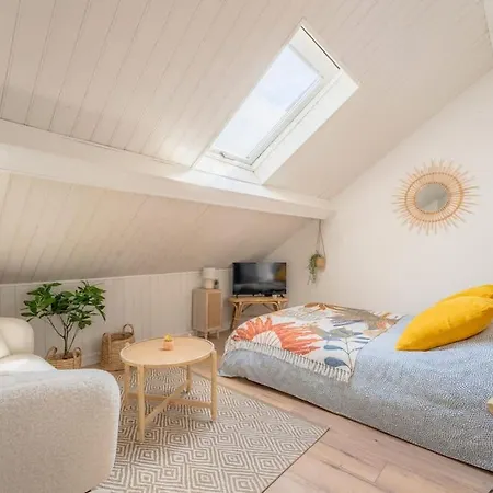 Dans Les Combles D'eugene Apartment